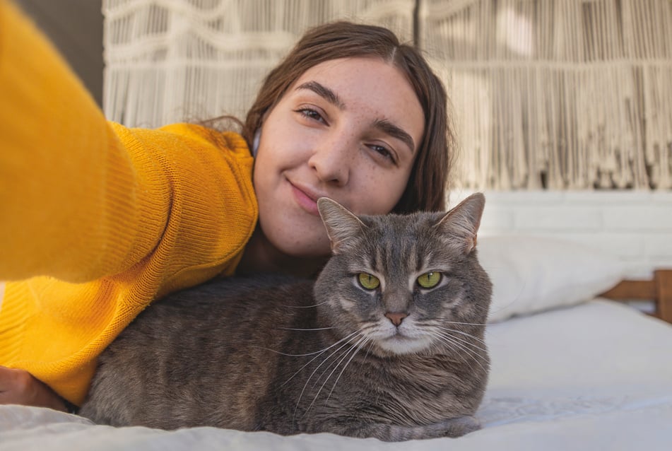 Woman Selfie With A Cat